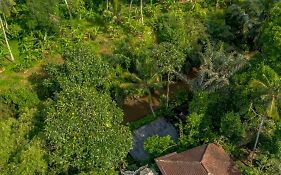 Tattva Ubud Retreat & Wellness
